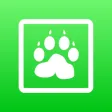 Animals Learning Cards