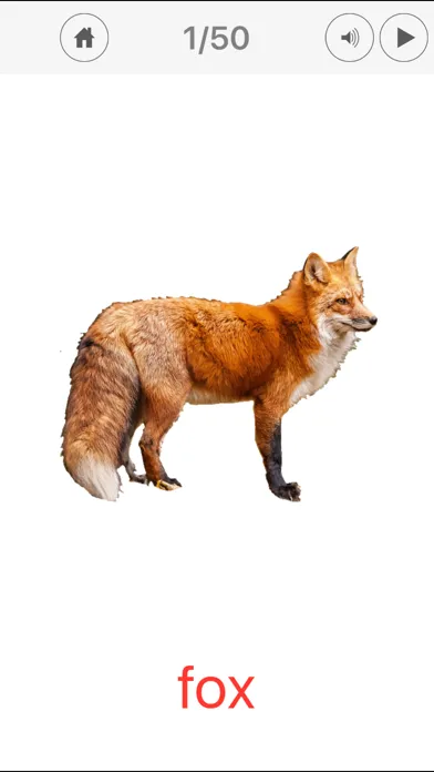 Скриншоты Animals Learning Cards