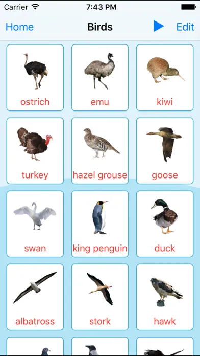 تصاویر Birds Learning Cards