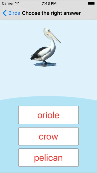تصاویر Birds Learning Cards