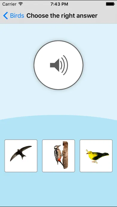 تصاویر Birds Learning Cards