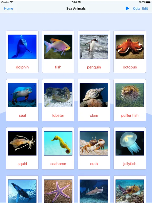 Sea Animals. Learning Cards iPad 應用截圖