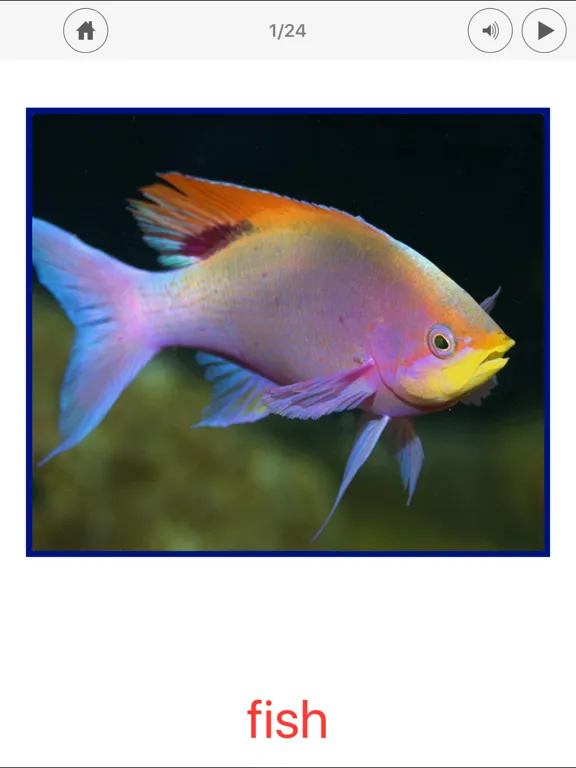 Sea Animals. Learning Cards iPad 應用截圖