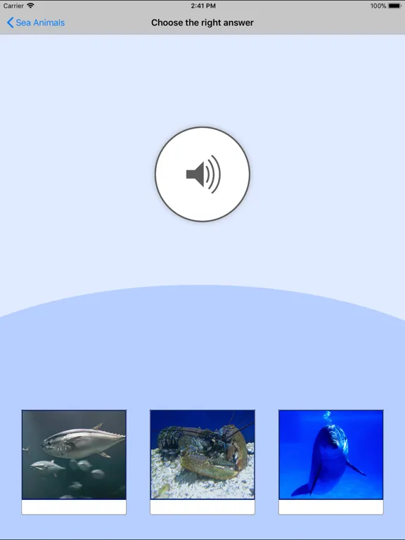 Sea Animals. Learning Cards iPad 應用截圖