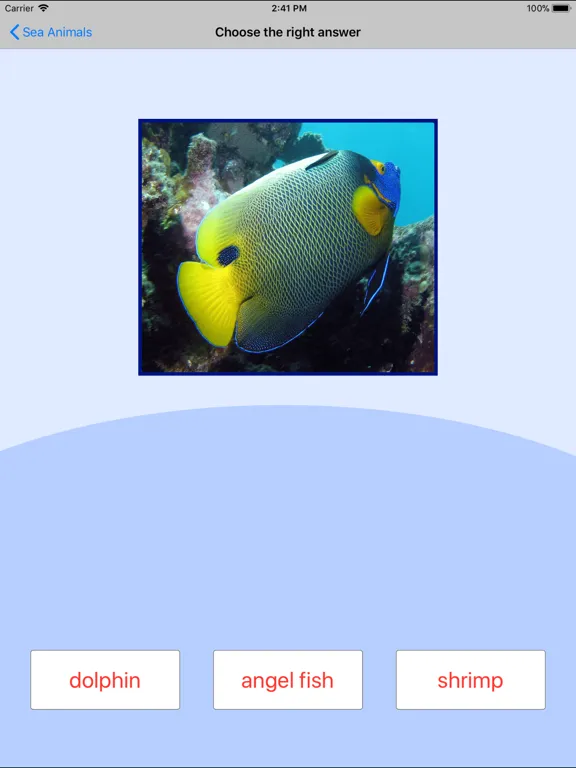 Sea Animals. Learning Cards iPad 應用截圖