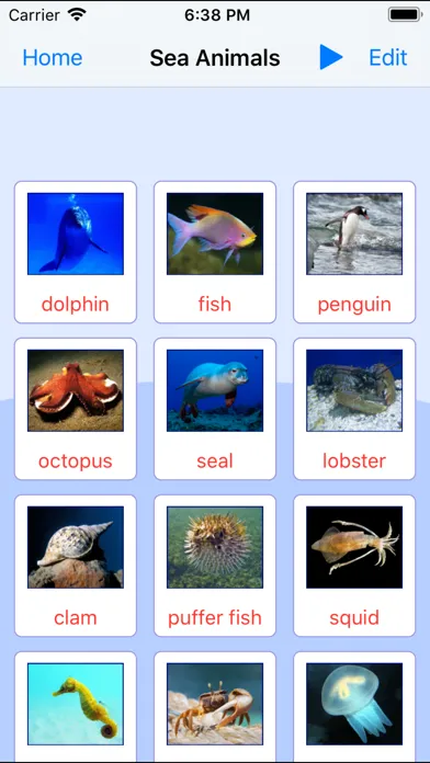 Sea Animals. Learning Cards應用截圖