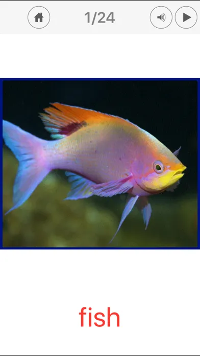 Sea Animals. Learning Cards應用截圖
