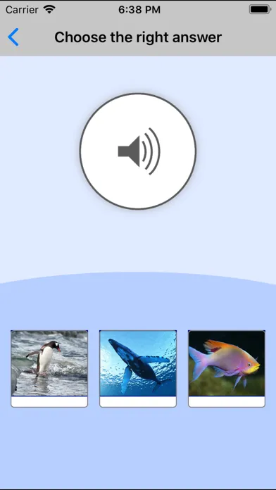 Sea Animals. Learning Cards應用截圖