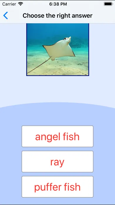 Sea Animals. Learning Cards應用截圖