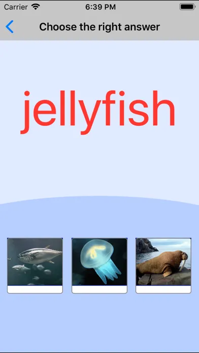 Sea Animals. Learning Cards應用截圖