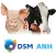 DSM ANH Product Support 2.0