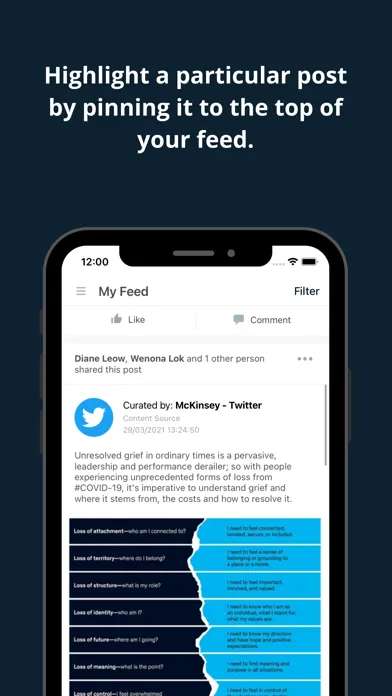 McKinsey Amplify स्क्रीनशॉट