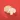 Mushrooms Guide