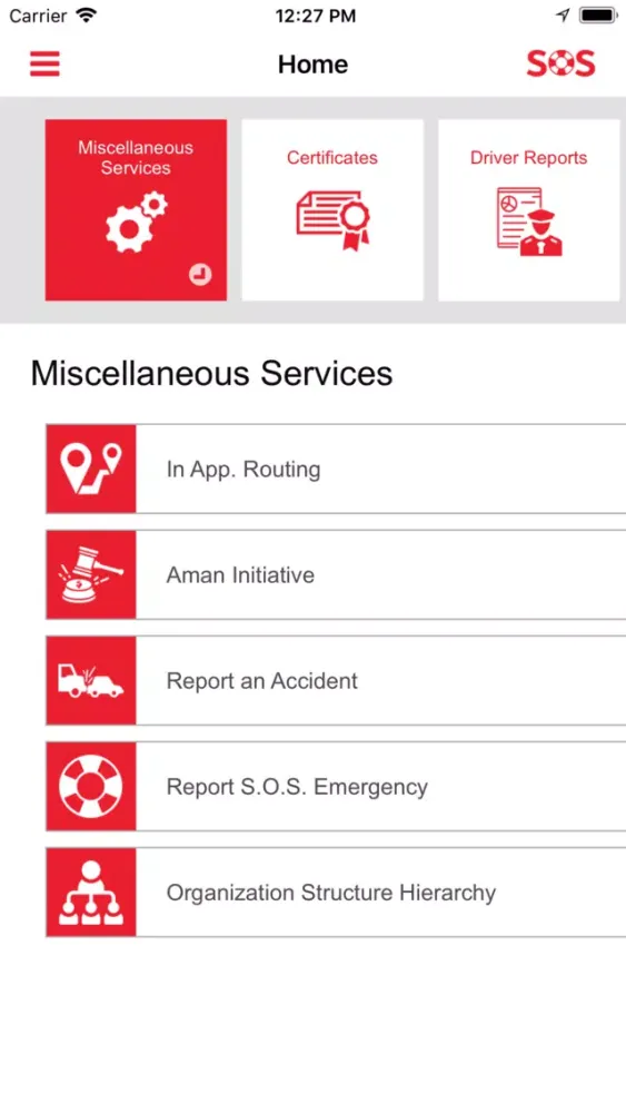 Zrzuty ekranu i.Services
