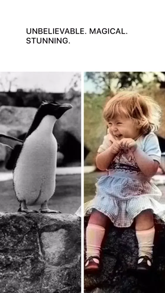 Spectrum Photo Editor Vintage Ekran Görüntüleri