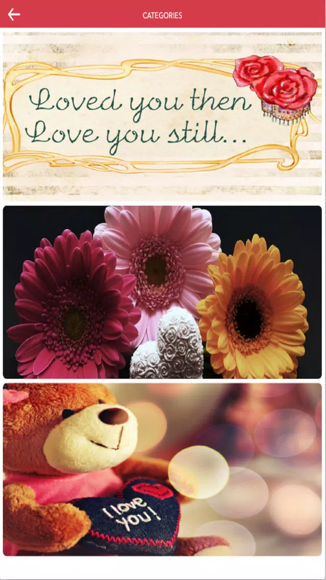 Valentines Day Love Card - Romantic Moment应用截图