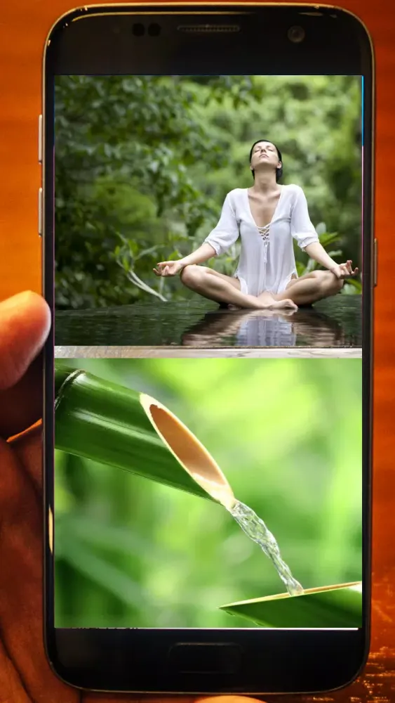Nature Sound Complete Mp3應用截圖