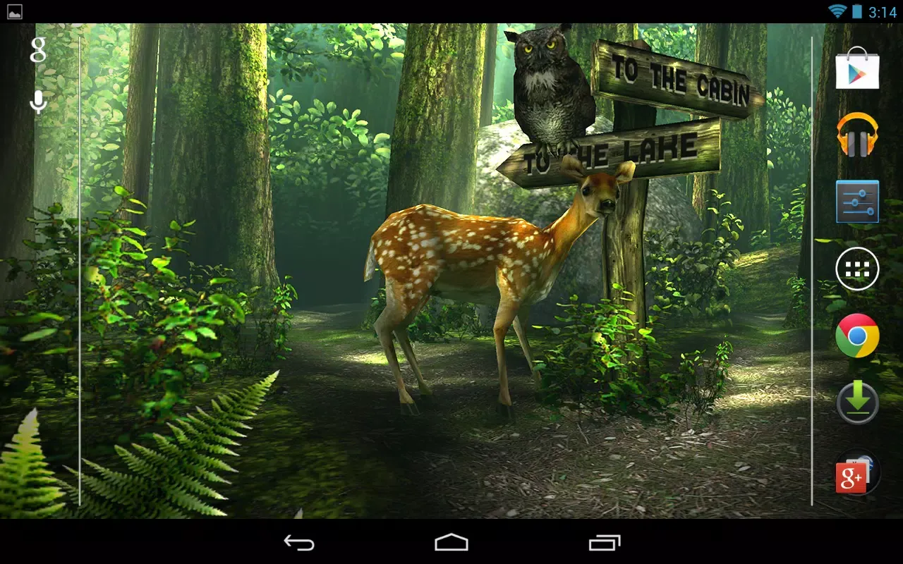 Zrzuty ekranu Forest HD