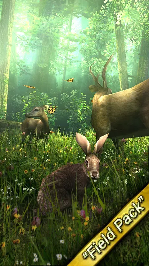 Zrzuty ekranu Forest HD