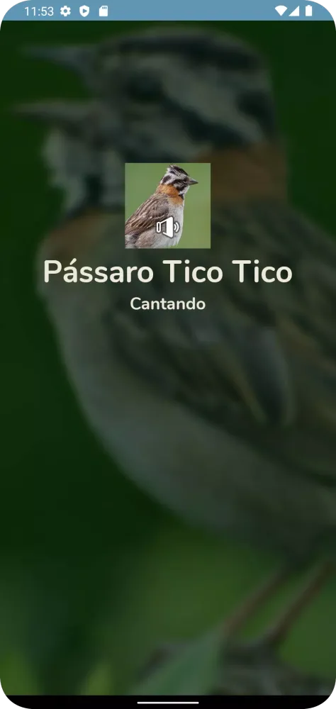 Скриншоты Pássaro Tico Tico Cantando
