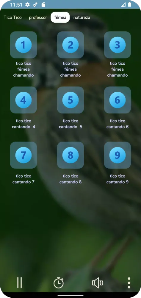 Скриншоты Pássaro Tico Tico Cantando