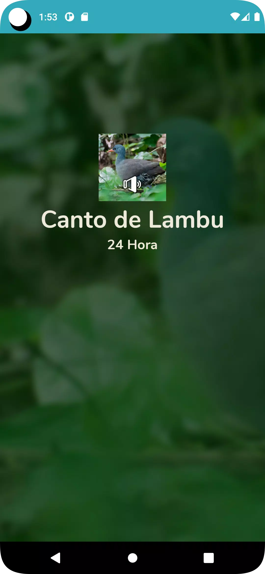 Canto de Lambu Screenshots