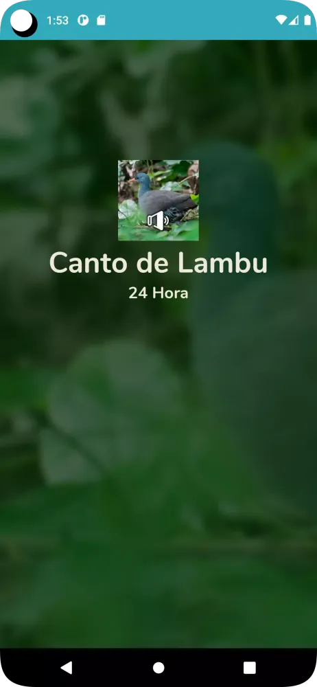 Canto de Lambu Screenshots