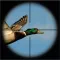 Duck Hunter Adventure Shooting 3D Pro