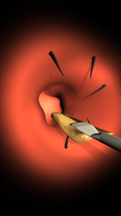 Endoscope cleaning ear Screenshots