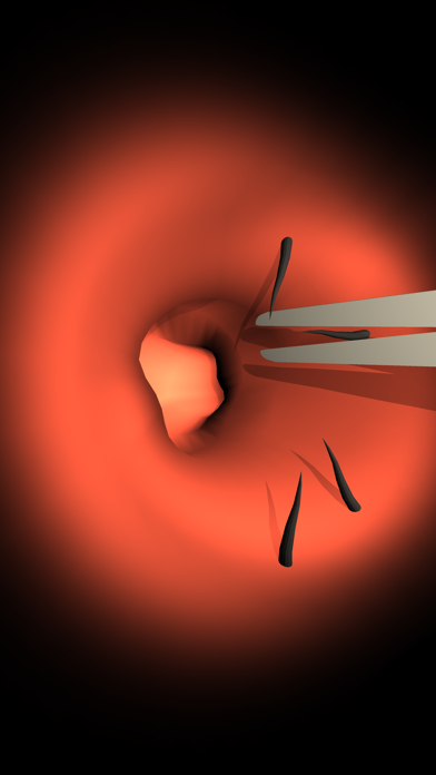 Endoscope cleaning ear Screenshots