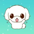 Little Maltese Animated Sticker
