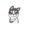 Lovely Husky Dog Sticker