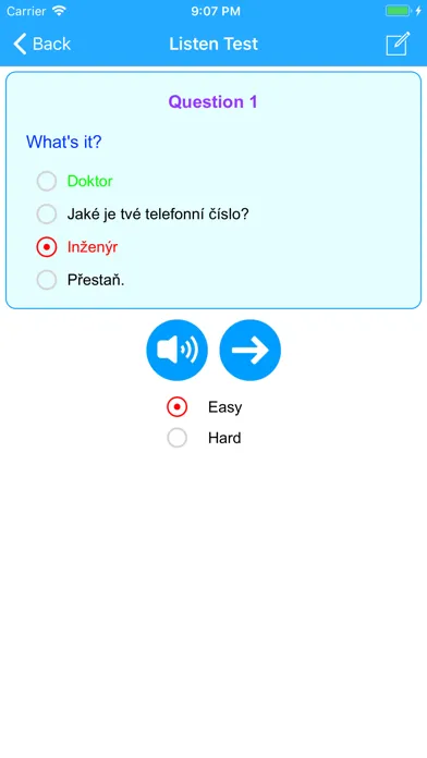 Learn Czech Easy Offline应用截图