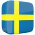 Learn Swedish Offine Language