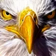 EagleEyes: Camera Security & Anti-Theft EagleEyes: Camera Security & Anti-Theft