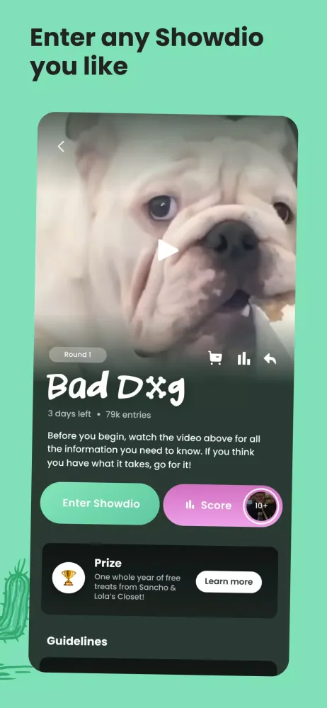 Screenshot di Showdio