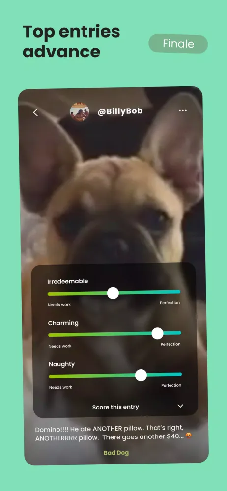 Screenshot di Showdio