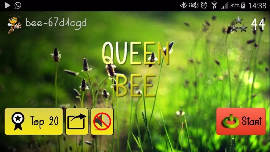 The Queen bee应用截图