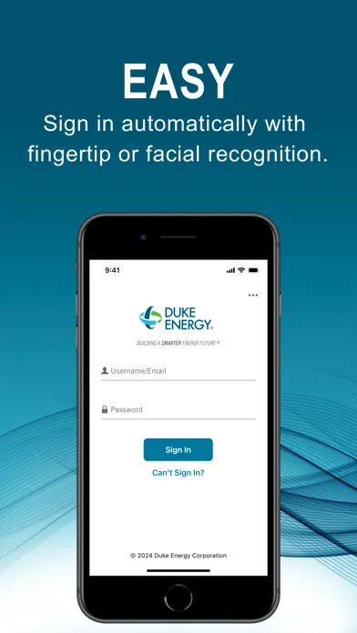 Tangkapan layar Duke Energy