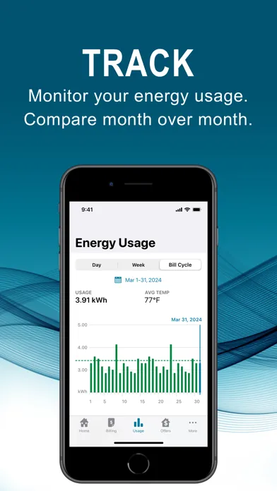 Tangkapan layar Duke Energy