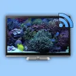 Aquarium on TV for Chromecast
