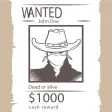 Cowboy - fight the enemies