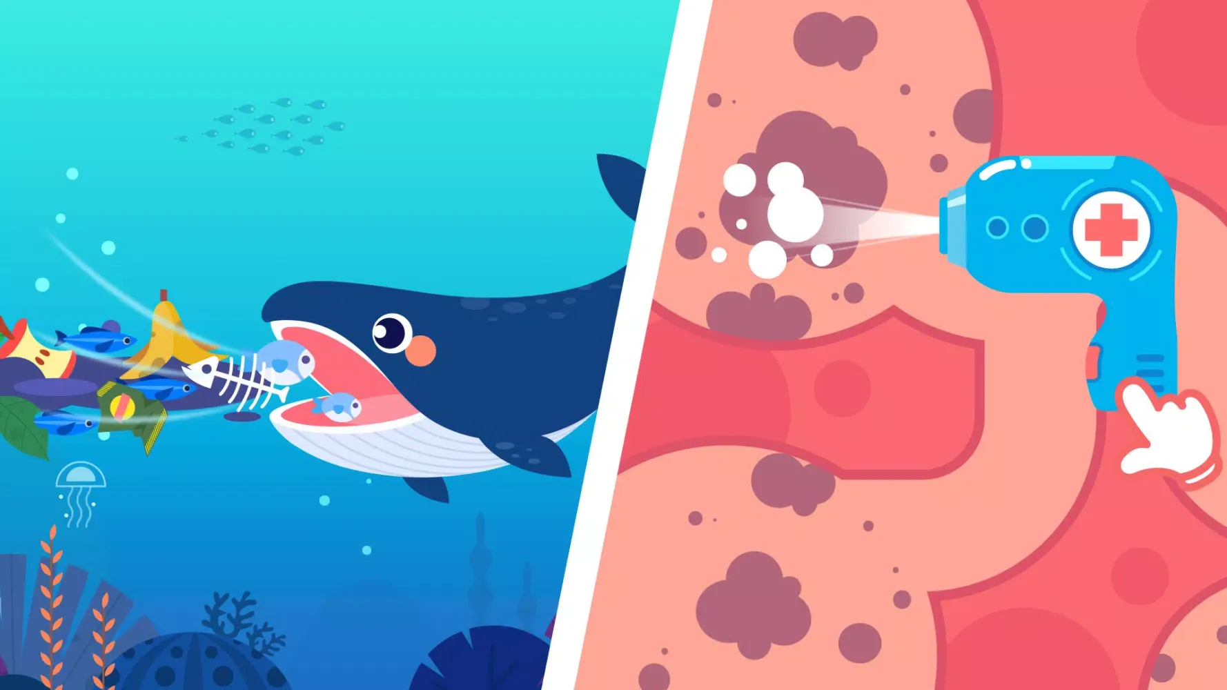 Marine doctor：DuDu Puzzle Game Screenshots