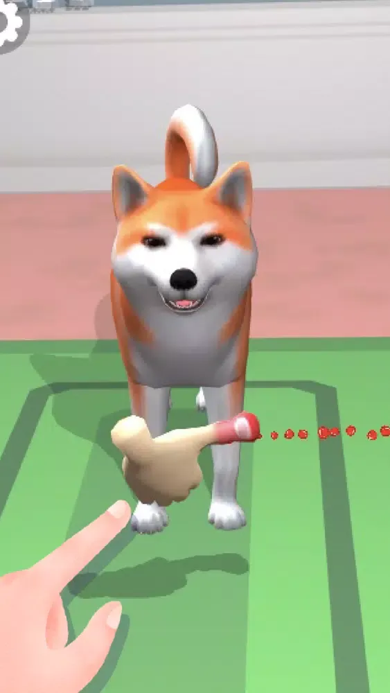 Feed Dogs Ekran Görüntüleri