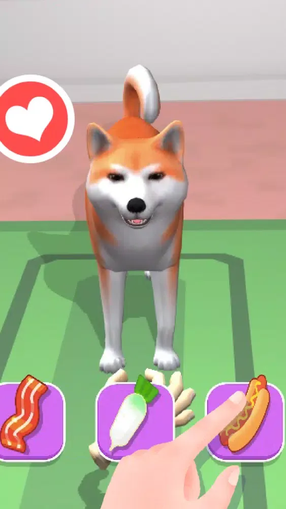 Feed Dogs Ekran Görüntüleri