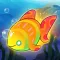Aquarium Feeding Fish World