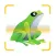 Frog Identifier Reptile ID