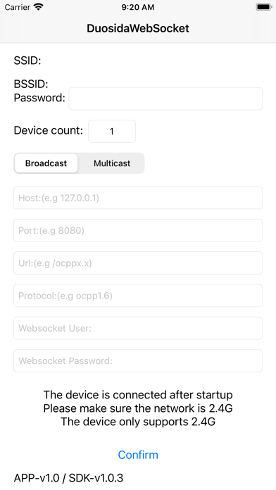 Zrzuty ekranu DSDWebsocketConfig