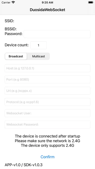 DSDWebsocketConfig Ekran Görüntüleri