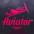 Aviator Crash Survivor